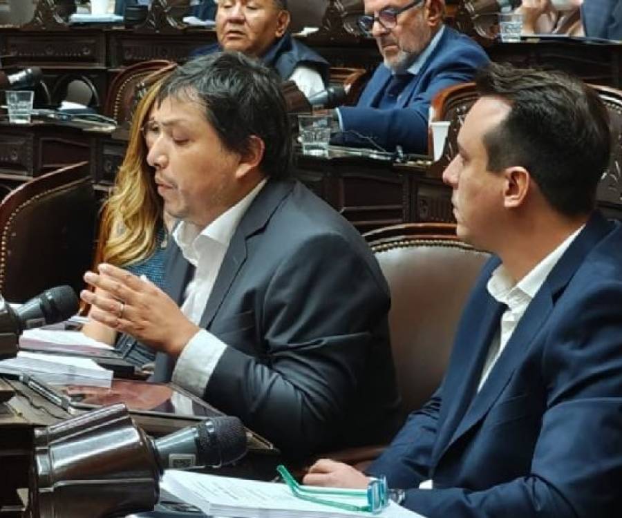Los diputados de Elijo Catamarca prefirieron abstenerse a votar por el recorte al gas