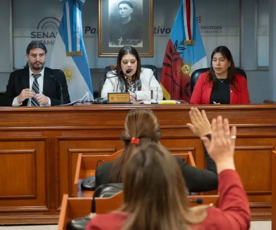 El senado hizo ley la transformación de la estatal Camyen a Sociedad Anónima