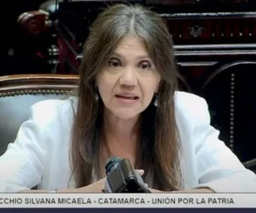 Ginocchio reclamó por el financiamiento universitario