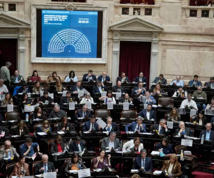 Ley de Discapacidad: el oficialismo logró el apoyo de UxP y se aprobó el proyecto