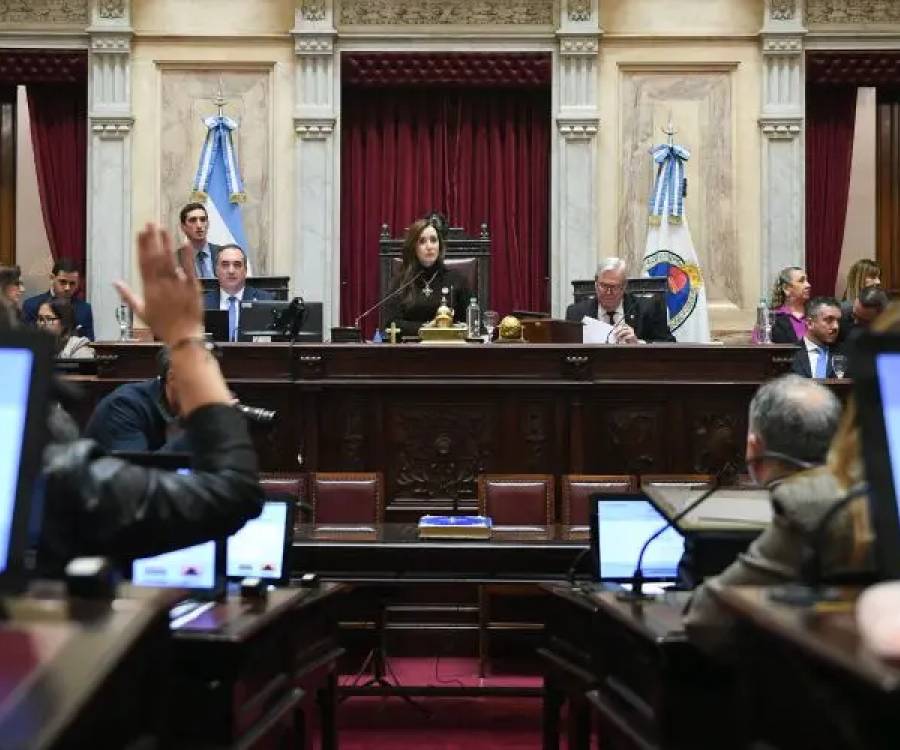 El Senado aprobó la reforma de la Ley de Salud Mental: habilita internaciones involuntarias