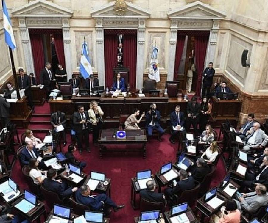 La ley Bases y el paquete fiscal ingresaron al Senado